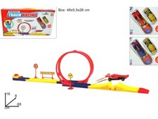 PISTA RACING CON 2 MACCHINE